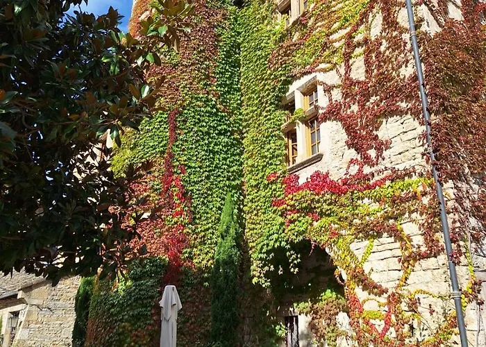 Hotel-restaurant Le Manoir De Montesquiou 3* La Malène